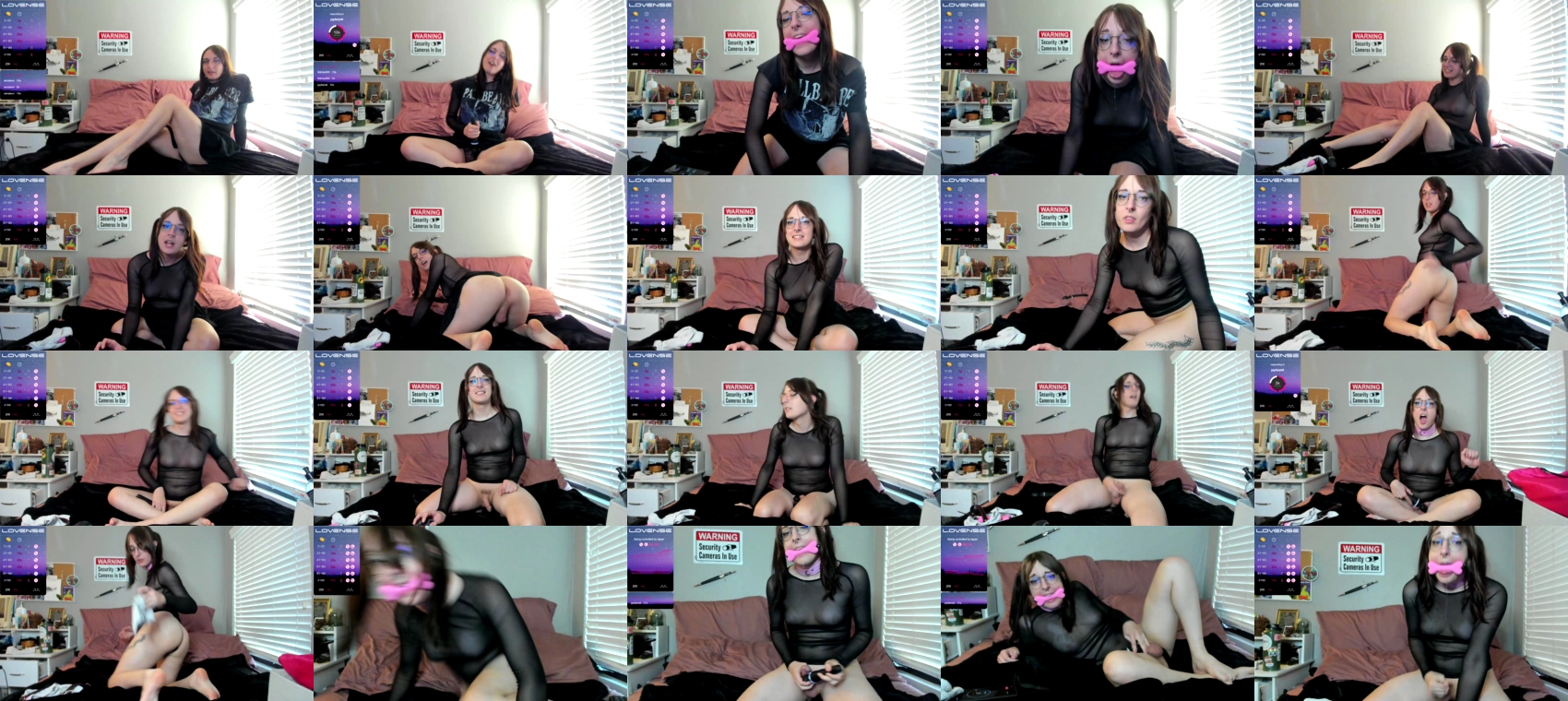 trannyloser  11-12-2022